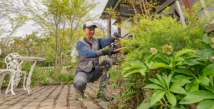 植栽のお悩み、まるごと対応します
